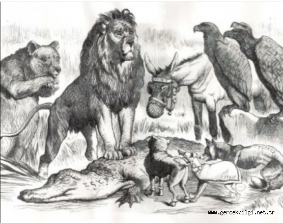 JÖNKÜRT-JÖNARAP-JÖNTÜRK MANDA ANAYASASI