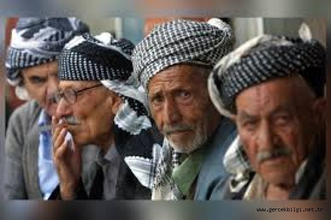 KÜRTLERİN SİYASİ EĞİLİMLERİNİ YANSITAN BİR KAMUOYU ARAŞTIRMASI